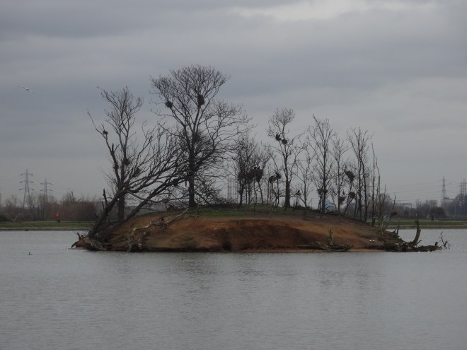 The Island in the Water Reservoire